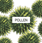 Home Comfort Air Services offers air filters to stop pollen in your Silver Spring  MD home.